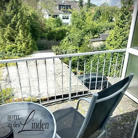 Hotel Zu Den Linden 3*