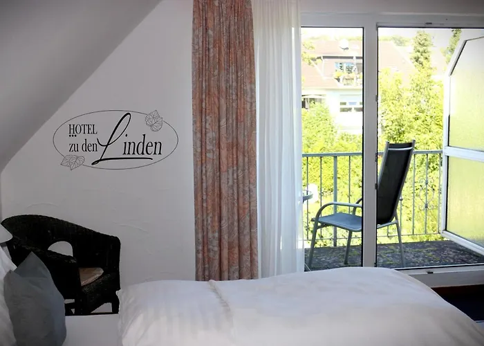 Hotel Zu Den Linden 3*